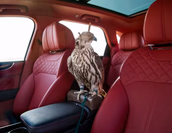 Interior Bentley Bentayga Falconry by Mulliner '2017–20