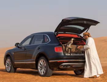 Bentley Bentayga Falconry by Mulliner '2017–20