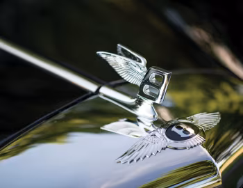 Mascote Bentley S Continental Coupe [LHD] (BC4LDJ) '1958