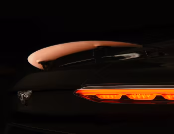 Bentley "The Black Rose" Batur '2025