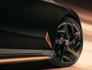 Bentley "The Black Rose" Batur '2025