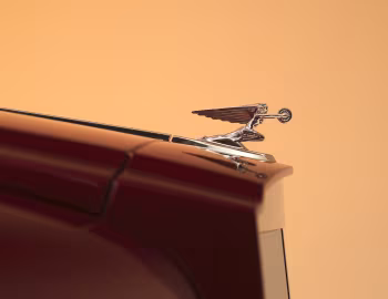 Mascote Packard Excellence '2025