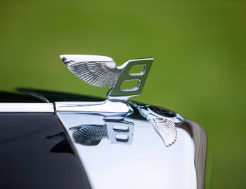Mascote 1956 Bentley S Continental Coupe [RHD] (BC12BG) '1957