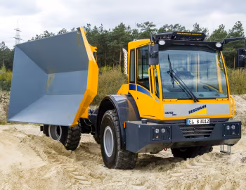 Bergmann 3012 DSK PLUS '2013–16