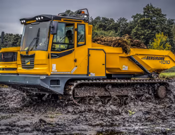 Bergmann 4010 R '04.2016–19