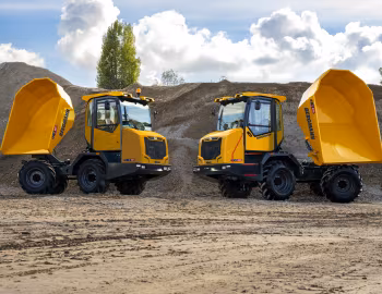 Bergmann C807s, Bergmann C810s