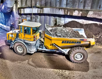 Bergmann C828s '2020–pr.