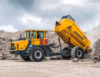 Bergmann C828s '2020–pr.
