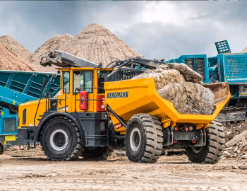 Bergmann C828s '2020–pr.