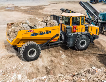 Bergmann C828s '2020–pr.