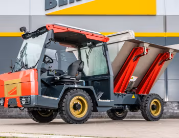 Bergmann I804