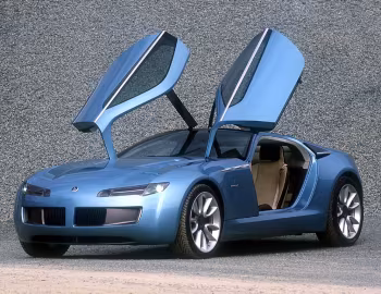 Bertone Birusa '03.2003