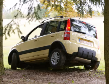 Fiat Panda 4×4 Climbing (169) '2004–09