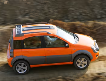 Fiat Panda Cross (169) '2006–12