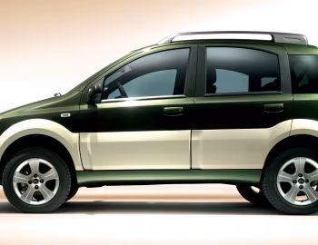 Fiat Panda Cross (169) '2006–12