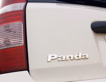 Fiat Panda Young [South Africa] (169) '2011