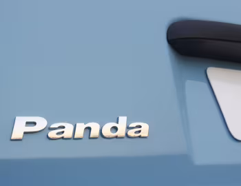 Fiat Panda Young [South Africa] (169) '2011