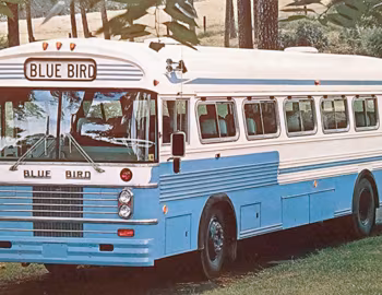 1968–?? Blue Bird All American