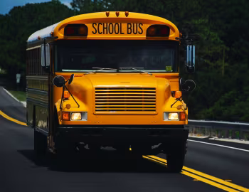 International 3800 Blue Bird Conventional '1989–2004