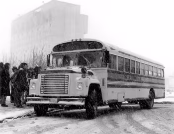 International Harvester Loadstar 1703 Blue Bird Conventional '1971–77