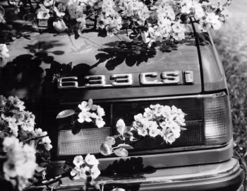 BMW 633CSi [Worldwide] (E24) '10.1975–09.1977