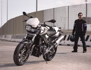 BMW F 800 R (K73) '2009–11