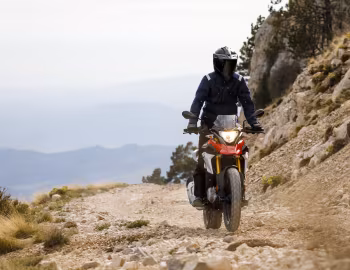 BMW G 310 GS (K02) '2017–20