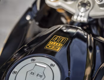 BMW G 310 GS "40 Years GS" Edition (K02) '2020–pr.
