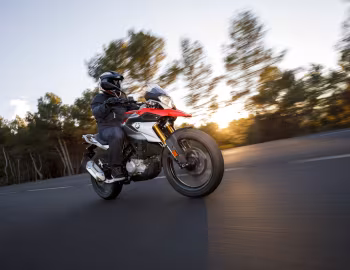 BMW G 310 GS (K02) '2017–20
