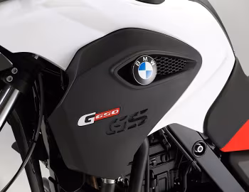 BMW G 650 GS (R131) '2010–15