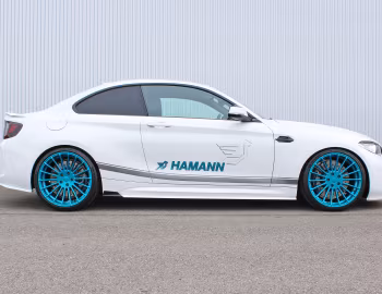 Hamann BMW M2 (F87) '2016–17