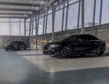 BMW M2 (F87) '2015–22