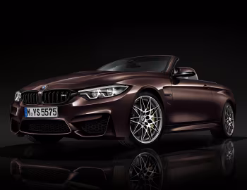BMW M4 Cabrio [Worldwide] (F83) '2017–21