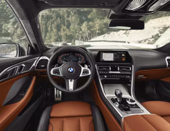 Panel frontal BMW M850i xDrive Coupé [Worldwide] (G15) '2018–22