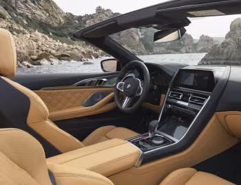 Interior BMW M8 Competition Cabrio [Worldwide] (F91) '2019–22