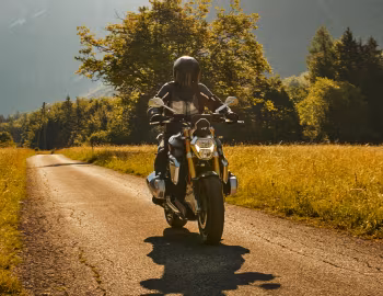 BMW R 1250 R (K53) '2018–22