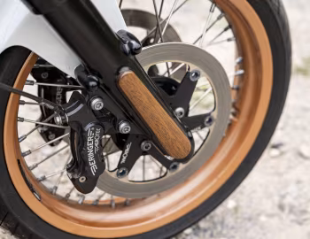 BMW R 18 "Il Leone Edition" by Greg Mansell & Custom Bike Steve '2020