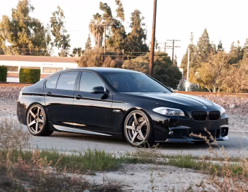 Vorsteiner V-MS (F10) '2012–13
