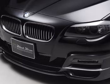 WALD BMW 5 Series Black Bison Edition (F10) '2011–13