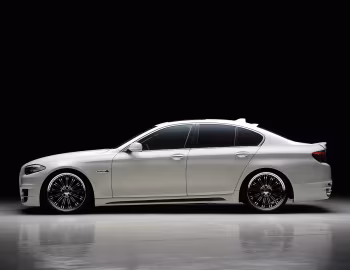 WALD BMW 5 Series Black Bison Edition (F10) '2011–13