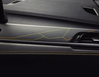 Інтэр'ер BMW X2 xDrive25e "Edition GoldPlay" [Worldwide] (F39) '2022–23