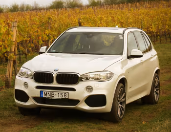 BMW X5 xDrive30d M Sport [Worldwide] (F15) '2013–18
