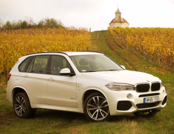 BMW X5 xDrive30d M Sport [Worldwide] (F15) '2013–18