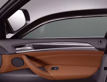 Interior BMW X5 Security (E70) '2008–10