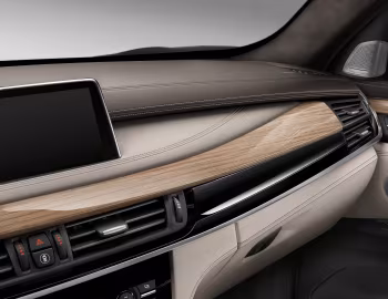 Interior BMW X6 xDrive50i Individual (F16) '2014–19