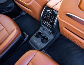 Interior BMW X7 xDrive40d M Sport [Australia] (G07) '2022–pr.