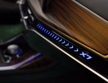 Intérieur BMW X7 xDrive40d M Sport "Poldo Dog Couture" (G07) '02.2024