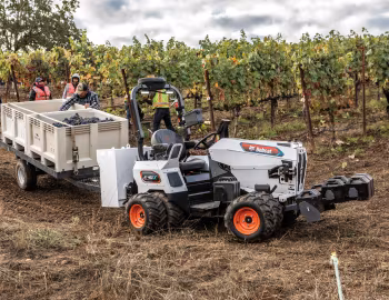 Bobcat AT450X '01.2024
