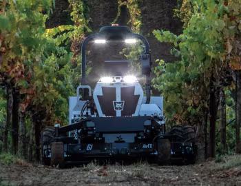 Bobcat AT450X '01.2024
