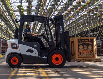 Bobcat D25S-9 [Worldwide] '2023–pr.